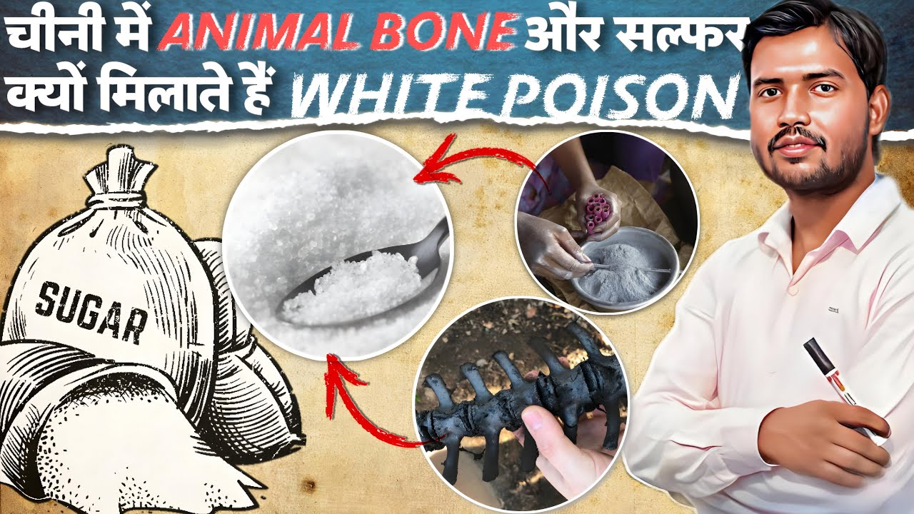 How bad is sugar for you khan sir youtube