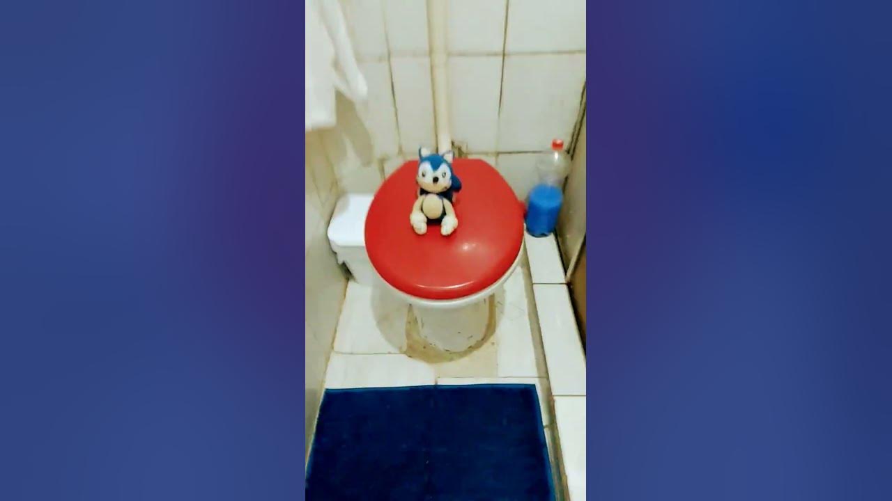 Sonic toilette 1 - YouTube