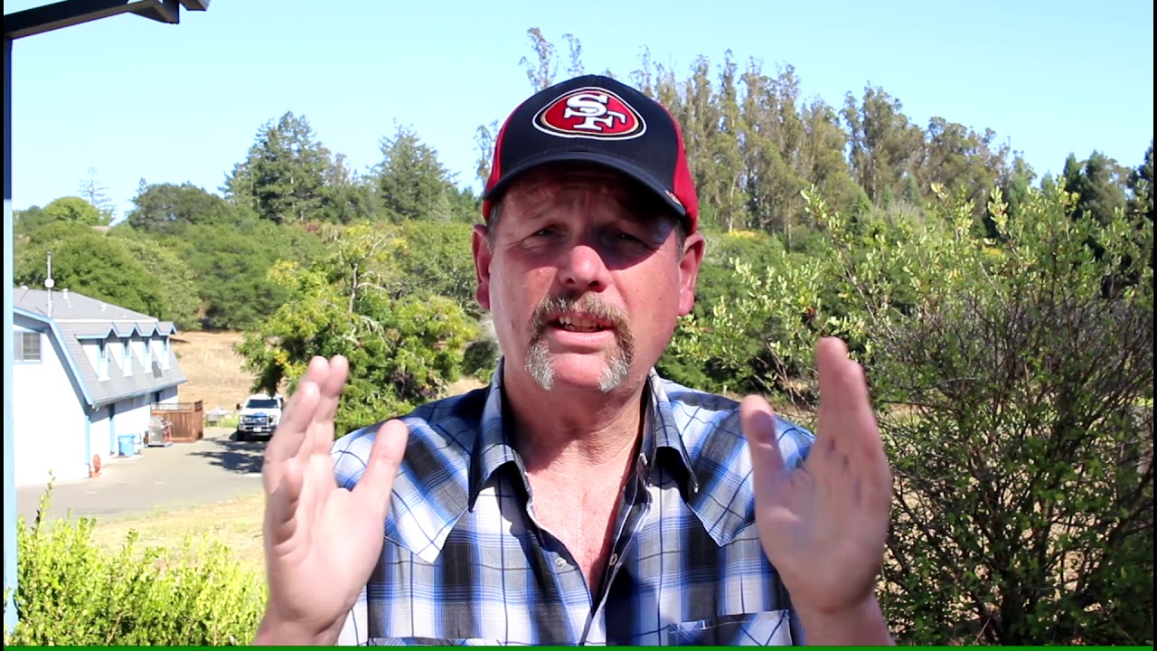 Chronic Pain and Suicide MY STORY