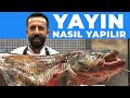 YAYIN BALIĞI NASIL TEMİZLENİR | PİŞİRİLİR | How to clean giant Catfish (YAYIN PİŞİRME)