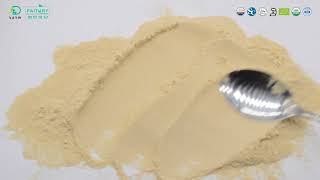 Bulk Food Grade Natural 2400dgu Pineapple Bromelain Powder