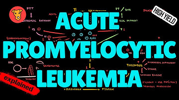 Acute Promyelocytic Leukemia (APL) EXPLAINED: Pathogenesis, DIC & ATRA Treatment (USMLE High-Yield)