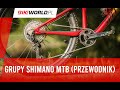 Grupy osprztu shimano mtb hierarchia