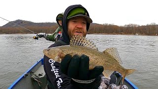 Mississippi River Lock and Dam Walleye and Sauger