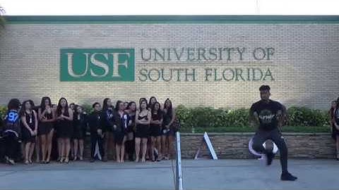 USF aKDPhi SP19 Yi-Kigai Psi Class New Member Presentation