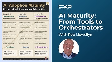 AI Maturity Explained: Tools, Agents, Orchestrators