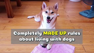 Completely MADE UP rules about living with dogs