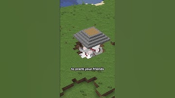 Wandering Trader Minecraft Tricks