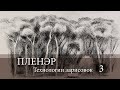 Пленэр. Технологии зарисовок. Уголь, ретушь, соус.