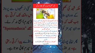 Unbelievable Fact About the Queen Bee That Proves Allah’s Wisdom  #facts