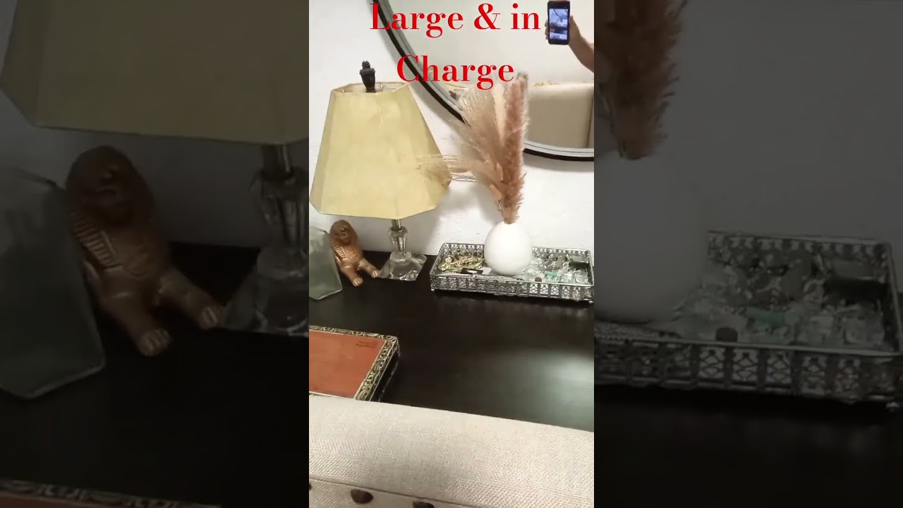 ghetto Mansion #crazy #funny #shortfeed #shortsfeed #fyp #shorts #short