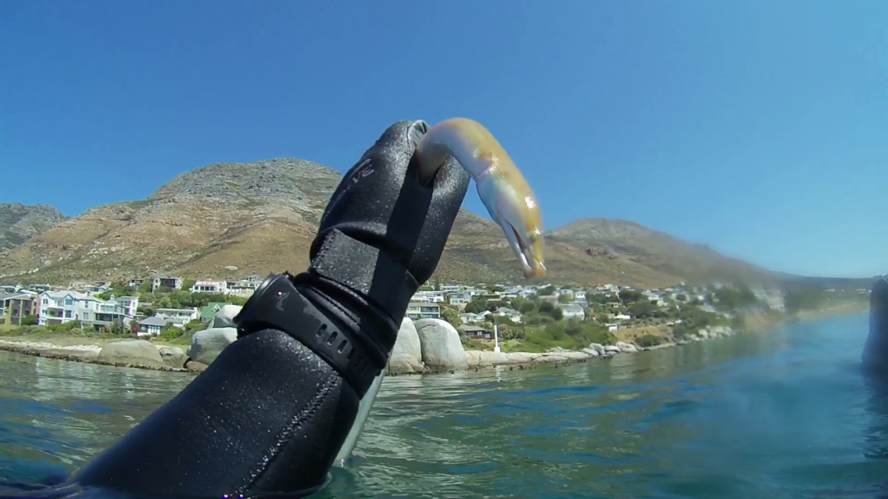 Freediving A-Frame, Simons Town, Cape Town 21st March 2017