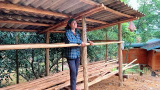 Using Wood from the Garden, I Started Building a Small Structure_Lý dao dao 