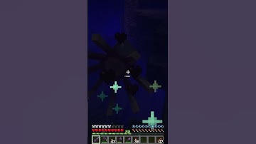 Finding Glow Squids in Minecraft Survival