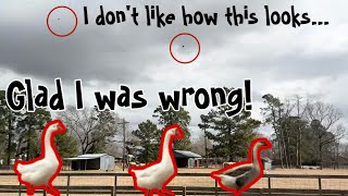 Going on an investigation - I made unrelated discoveries! 