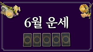 6월 운세⭐️(feat.6월에 있을 좋은 일)