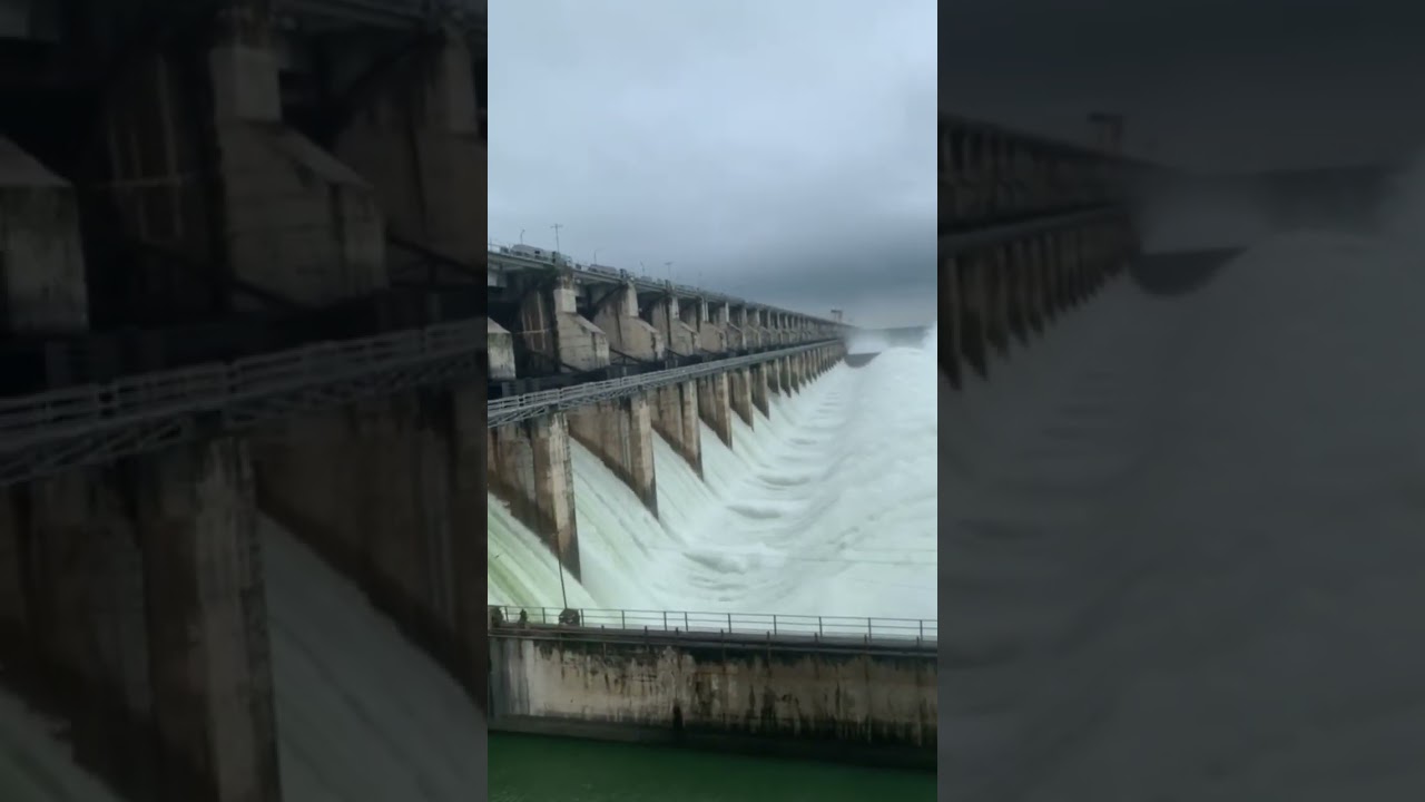 S.R.S.P 40 gates are opened 