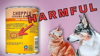 5 Potentially Harmful Ingredients In Pet Food