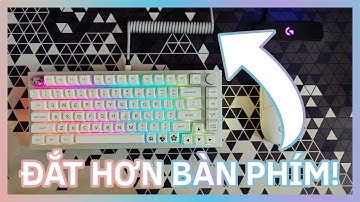 Cọng Cáp USB Này ĐẮT HƠN Cả Bàn Phím | Cablemod Review