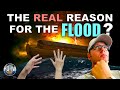 Why did god really flood the world