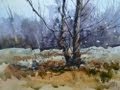 Painting Trees in Watercolour