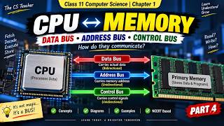 Data Transfer between Memory and CPU | System Bus | Part 4 | Class 11 Computer Science