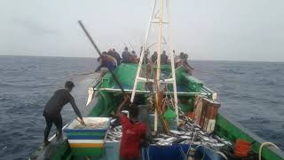 Kapal ikan sorong