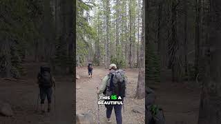 Hikers Capture Epic Forest Thunderstorm On Lassen Lakes Loop Trail