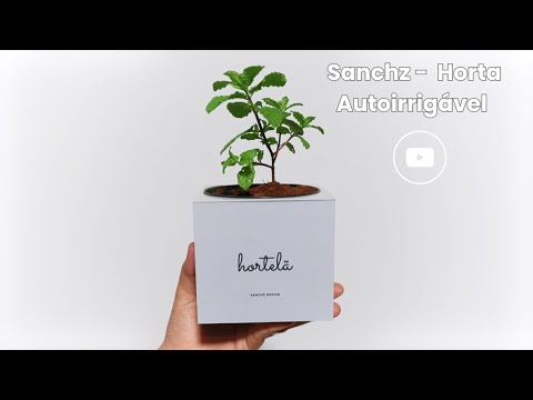 Sanchz - Horta Autoirrigável