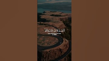 تلاوة هادئة تريح الاعصاب 😴🎧 القارئ ماهر المعيقلي _ سورة الحشر 🤍.