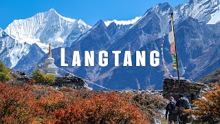 Trekking to Langtang and Kyanjin Gompa Valley in Nepal | Travel Video