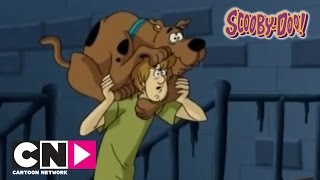 Gruseliger Glöckner Scooby-Doo Cartoon Network