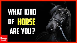 What Kind Of A Horse Are You? | Personality Test Wealth