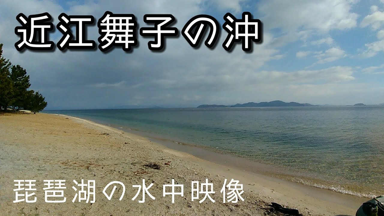 琵琶湖 水中 近江舞子 ２月近江舞子沖 琵琶湖の水中映像 Youtube