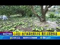丹娜絲颱風重創嘉義與彰化