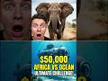 Safari vs. Submarine: The Ultimate $50,000 Trip!#mrbeast #viral #ytshorts #trending #shorts