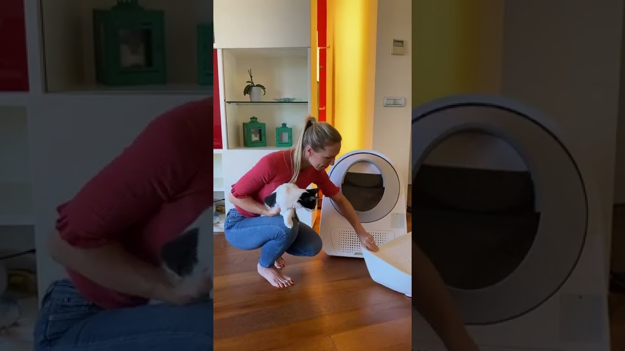 My review of the Comfycat Self Cleaning Litter Box YouTube