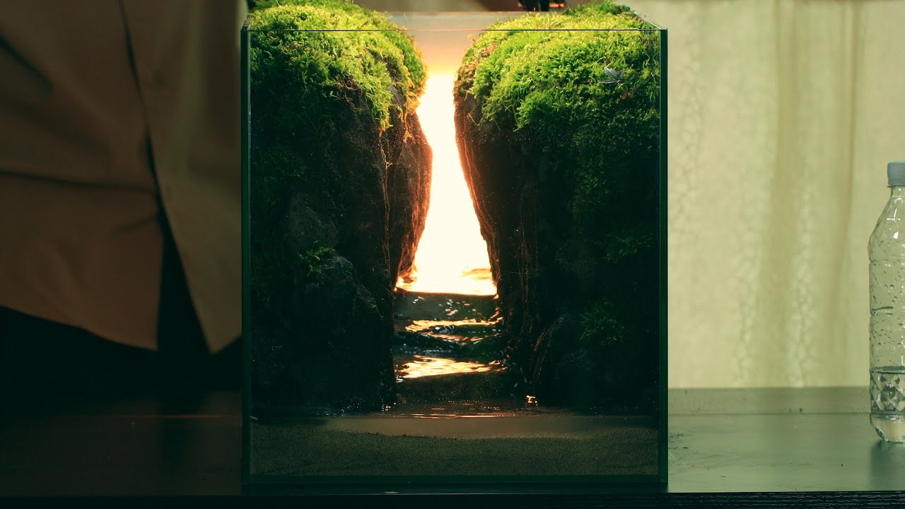 내 방에 해 뜨는 협곡 만들기 ☀️