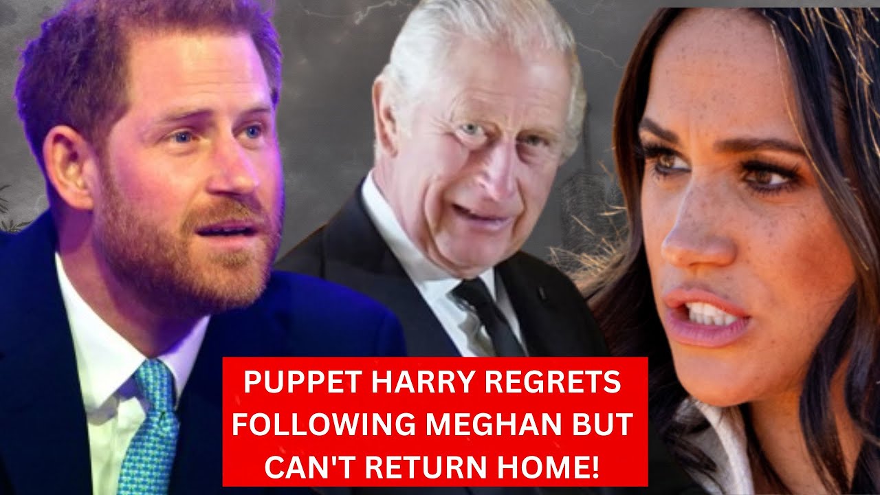 TOO LATE NOW! Harry In tears, Calls To Apologize For Backstabbing King ...