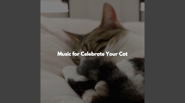 Easy Backdrops for Open Work Floors