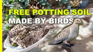 Make BIRD GUANO & Potent COMPOST Soil Amendment just by feeding Birds in Garden