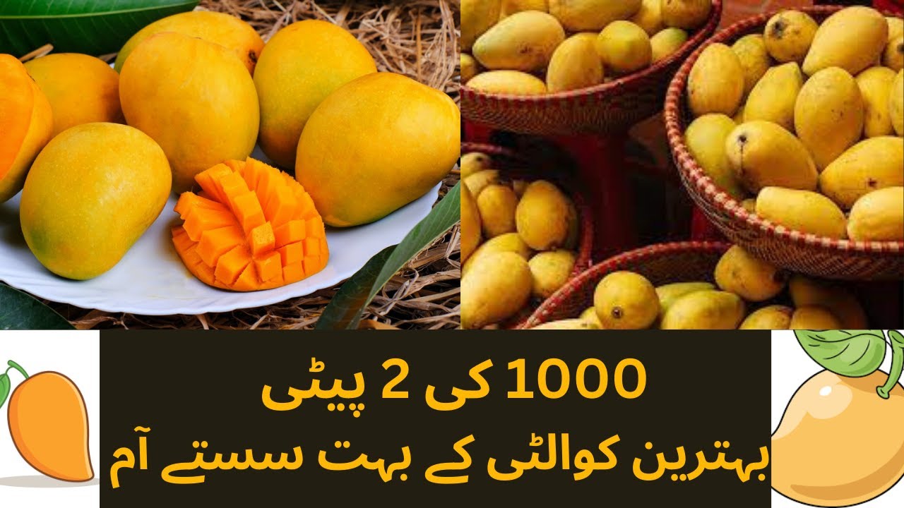 Cheap Mangoes in Sabzi Mandi Chaunsa Ka Bhi Baap Agaya 800 ki Peti