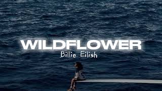Download Lagu WILDFLOWER - BILLIE EILISH (lyric) MP3 Download Lagu WILDFLOWER - BILLIE EILISH (lyric) MP3