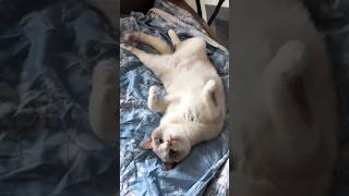 He Faced The Consequences Of His Actions 😂