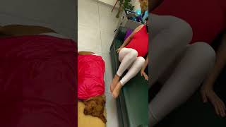 老公不靠谱,只有狗子陪我 #pets #funny #goldenretriever #美女搞笑