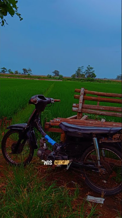 Story Wa Astera Grand Terbaru // Drag Racing