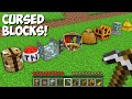 SECRET CURSED BLOCK in Minecraft ! INCREDIBLE BLOCKS !