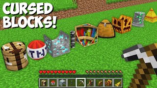 SECRET CURSED BLOCK in Minecraft ! INCREDIBLE BLOCKS !