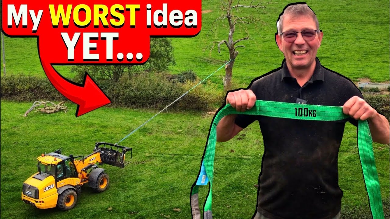 Pulling down dead tree with my JCB… FARMER STYLE!! - YouTube