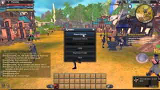 Raiderz Bug